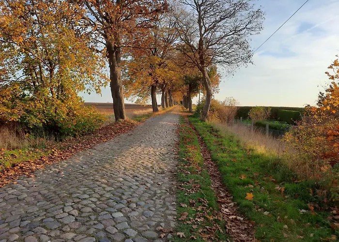 Tiny Haus 1 Hébergement de vacances